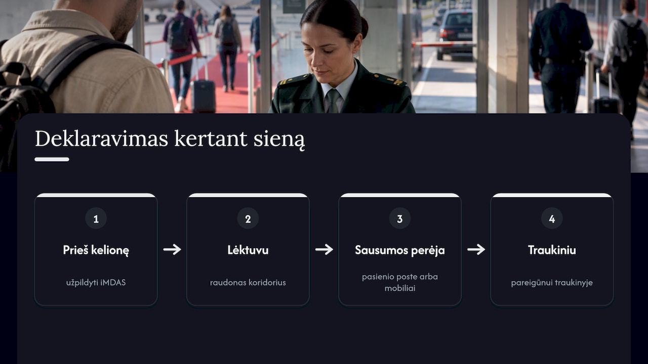 Grynųjų pinigų deklaravimo būdai kertant valstybės sieną